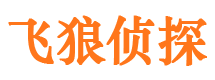 隆安寻人公司